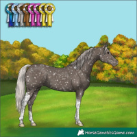 Horse Color:Silver Black Tobiano Snowflake Varnish