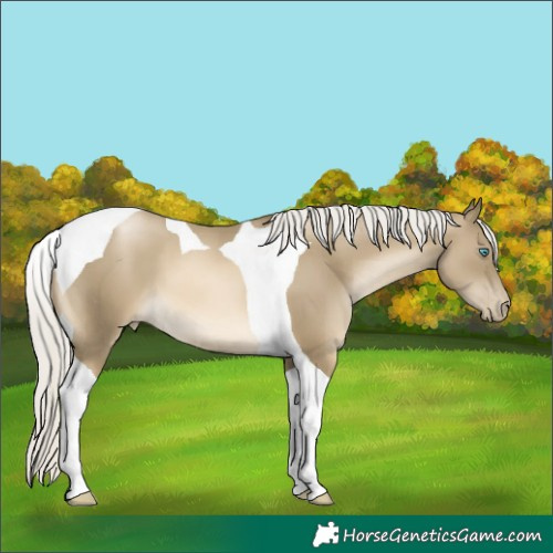 Horse Color:Silver Smoky Black Pearl Tobiano 
