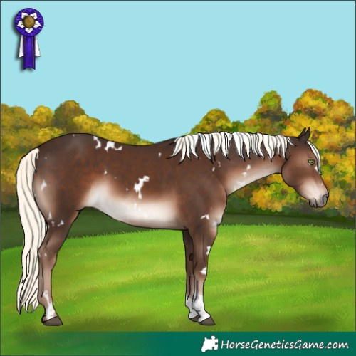 Horse Color:White Spotted Liver Chestnut Mushroom Tobiano Rabicano 