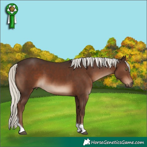 Horse Color:Liver Chestnut Mushroom Sabino Tobiano Rabicano