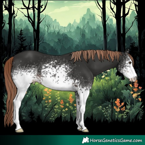 Horse Color:White Spotted Liver Chestnut 