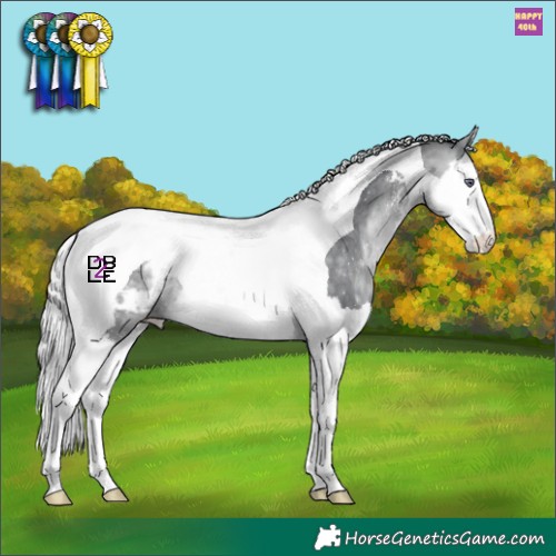 Horse Color:Silver Bay Chinchilla Sabino Splash Tobiano Appaloosa
