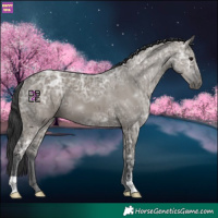 Horse Color:Grullo Ice