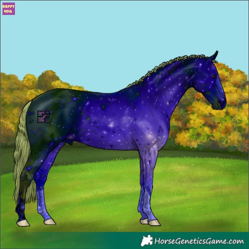 Horse Color:ERROR: UNKNOWN ANOMALY