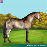 Horse Color:Void Bay Onyx Tobiano