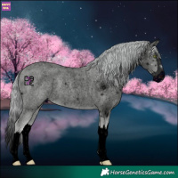 Horse Color:ERROR: UNKNOWN ANOMALY