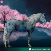 Horse Color:ERROR: UNKNOWN ANOMALY