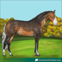 Horse Color:Silver Buckskin Sabino