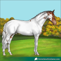 Horse Color:White Spotted Silver Brown Tobiano Near Fewspot