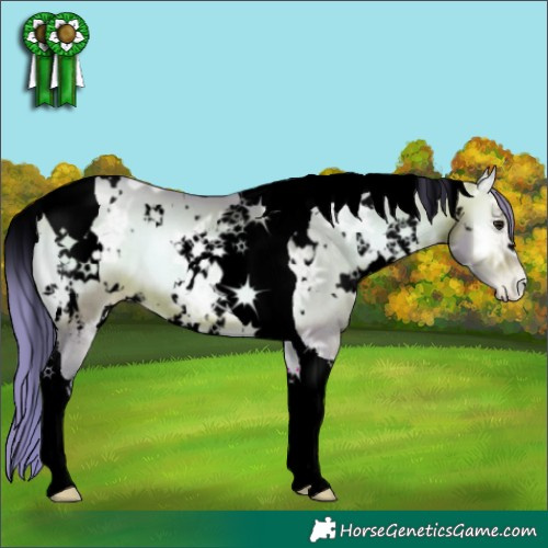Horse Color:Void Watercolor White Spotted Bay Ice Pearl Onyx Tobiano