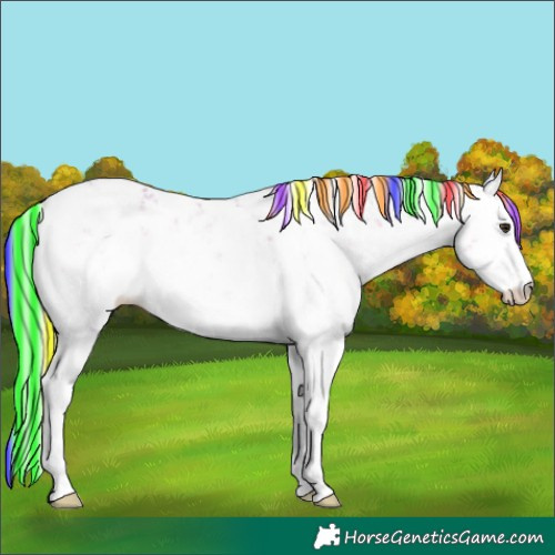 Horse Color:Painted Watercolor Silver Brown Pearl Onyx Sabino Rabicano