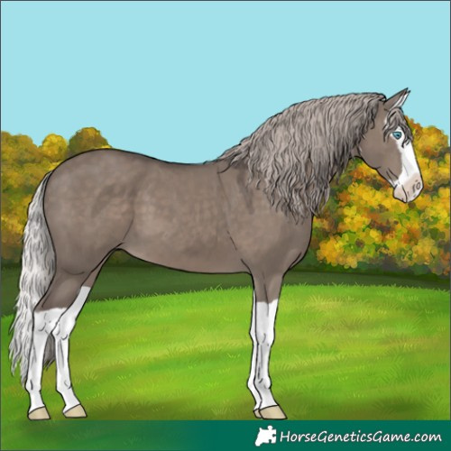 Horse Color:Silver Grullo Mushroom Splash 
