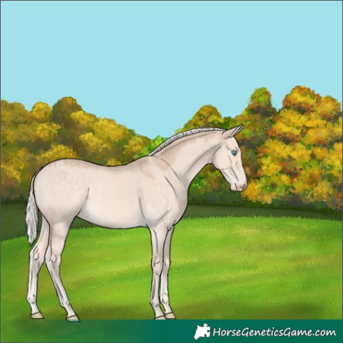 Horse Color:Silver Perlino Dun Mushroom 