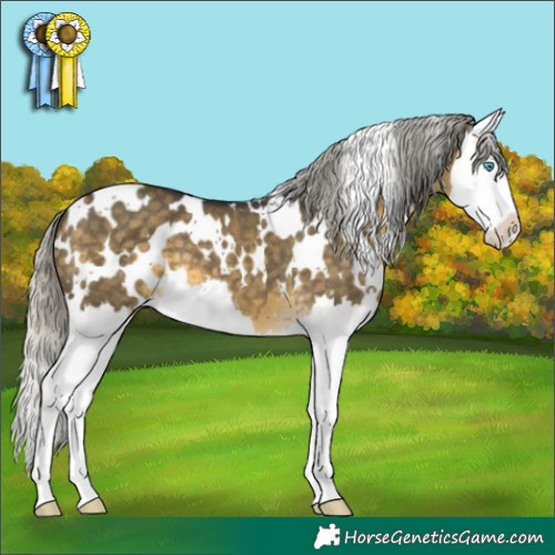 Horse Color:White Spotted Silver Buckskin Dun Mushroom Splash 