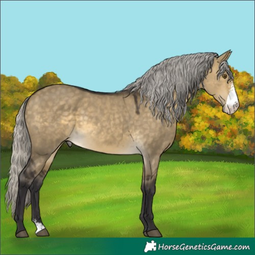 Horse Color:Silver Buckskin Dun Mushroom Sabino