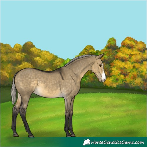 Horse Color:Silver Buckskin Dun Mushroom Sabino 