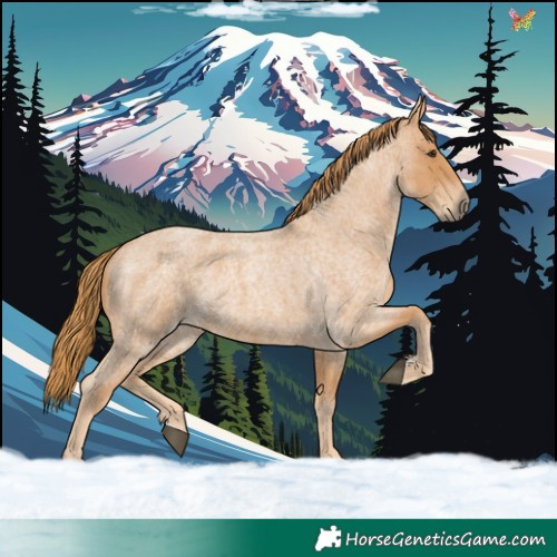 Horse Color:Red Roan 