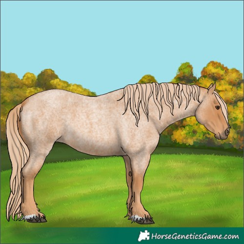 Horse Color:Red Roan