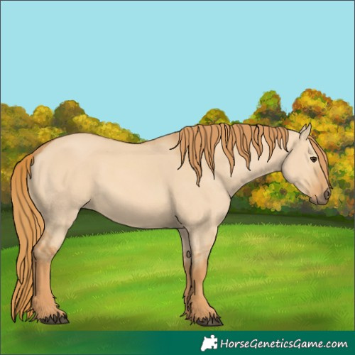 Horse Color:Red Dun