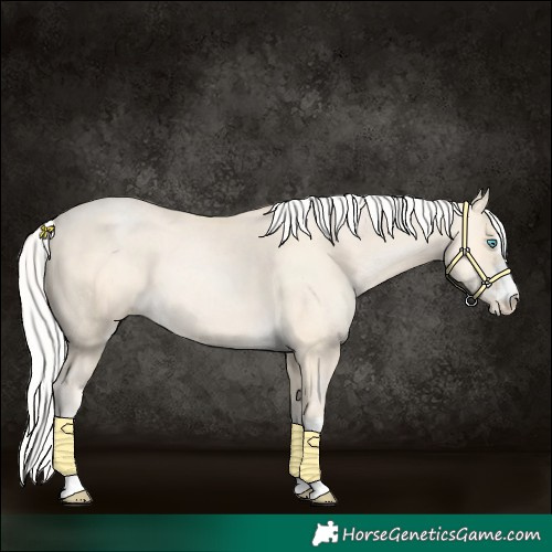 Horse Color:Silver Buckskin Pearl 
