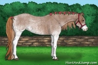 Horse Color:White Spotted Red Roan 