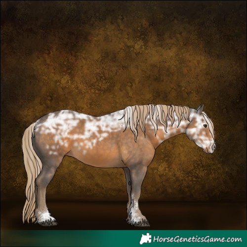 Horse Color:Powder White Chocolate Palomino Ice