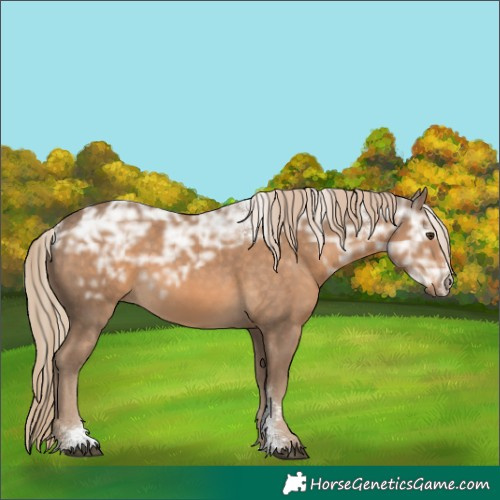 Horse Color:Powder White Chocolate Palomino Ice