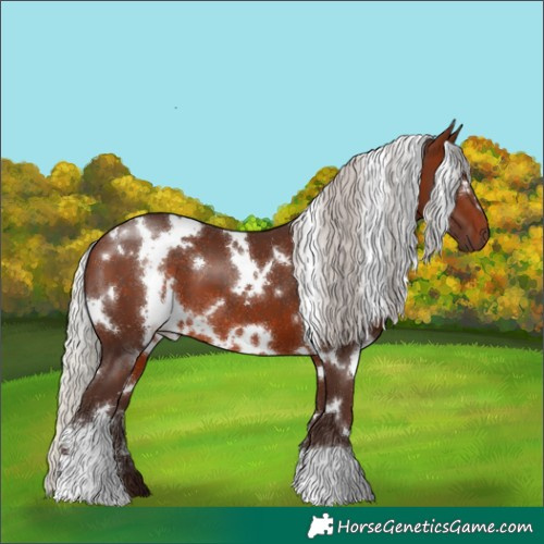 Horse Color:White Spotted Silver Brown 