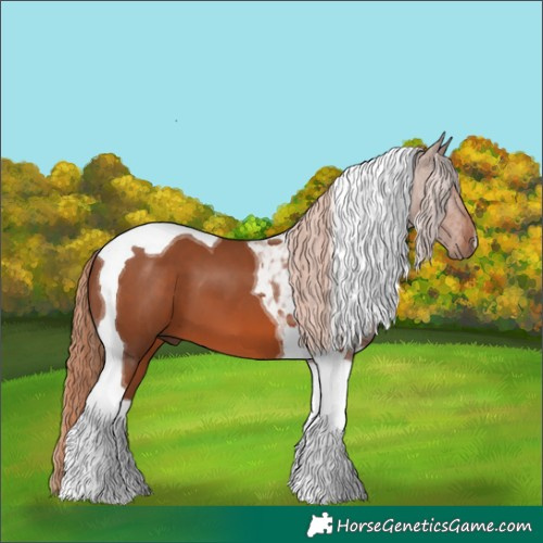 Horse Color:Chestnut Tobiano