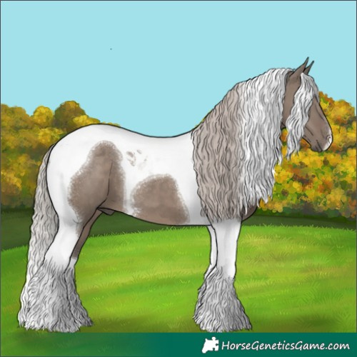 Horse Color:Silver Grullo Tobiano