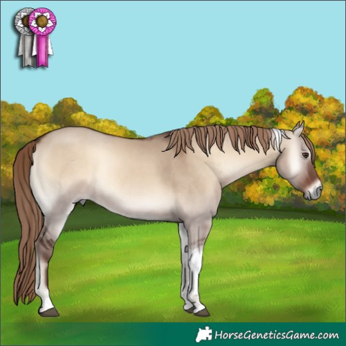 Horse Color:Liver Red Dun Onyx Tobiano Rabicano