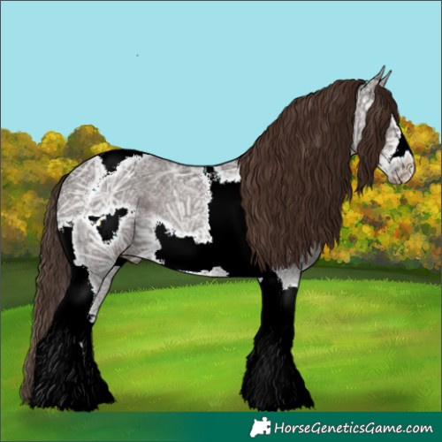 Horse Color:Liver Chestnut Ice Sabino Tobiano Frame 