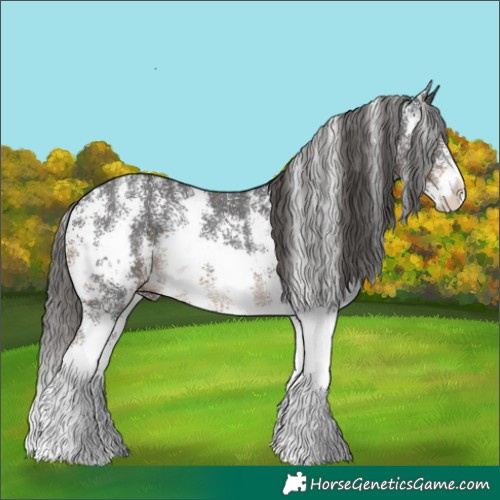Horse Color:Liver Chestnut Sabino 