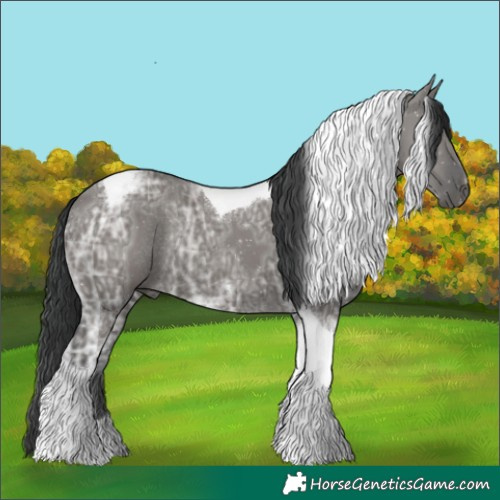 Horse Color:Grullo Ice Tobiano Rabicano 