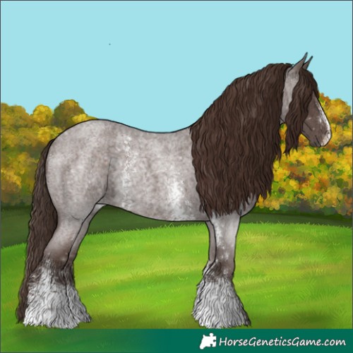 Horse Color:Liver Red Roan Sabino