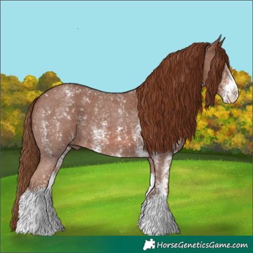 Horse Color:Chestnut Sabino 