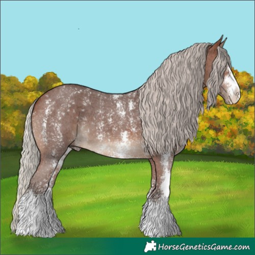 Horse Color:Silver Brown Sabino