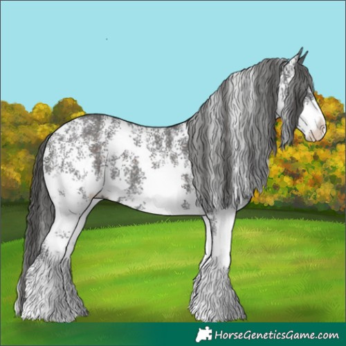 Horse Color:Liver Chestnut Sabino