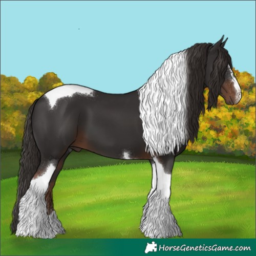 Horse Color:Liver Chestnut Tobiano
