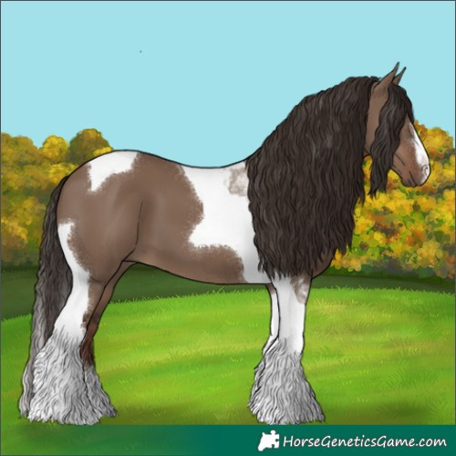 Horse Color:Liver Red Dun Tobiano 