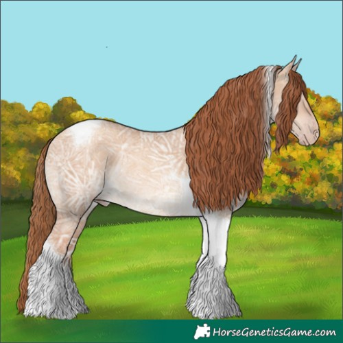 Horse Color:Gold Champagne Ice Dun Tobiano Rabicano