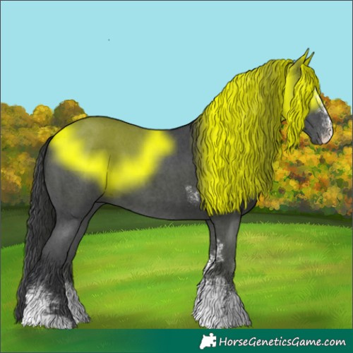 Horse Color:Black Sabino