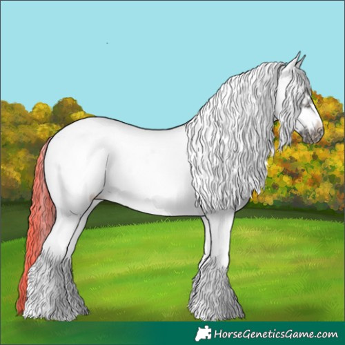 Horse Color:White Spotted Liver Chestnut Tobiano Frame Rabicano 