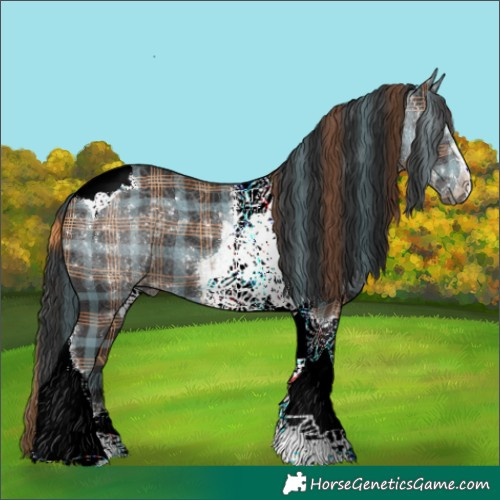 Horse Color:Plaid Liver Chestnut Tobiano