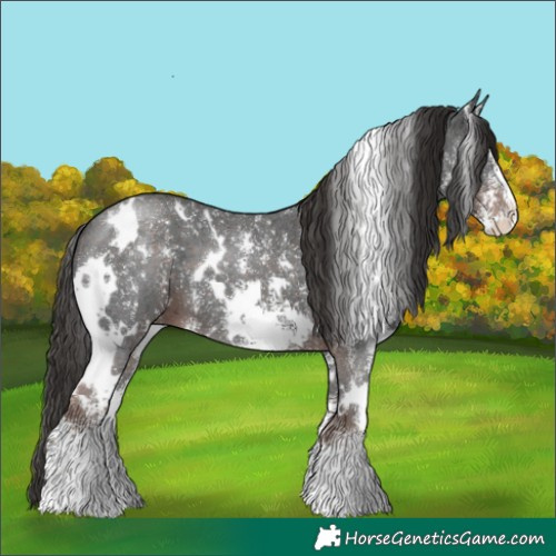 Horse Color:White Spotted Liver Chestnut Sabino 