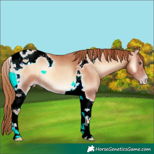 Horse Color:Gold Champagne Onyx Tobiano