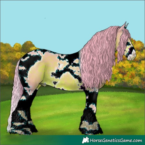 Horse Color:Watercolor Liver Chestnut Splash Tobiano 