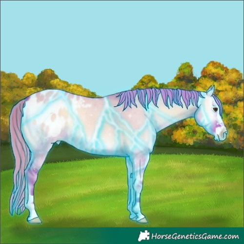 Horse Color:Thunderstruck Watercolor Red Dun Onyx Appaloosa 