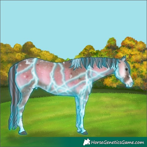 Horse Color:Painted Thunderstruck Red Onyx Sabino Tobiano Appaloosa 