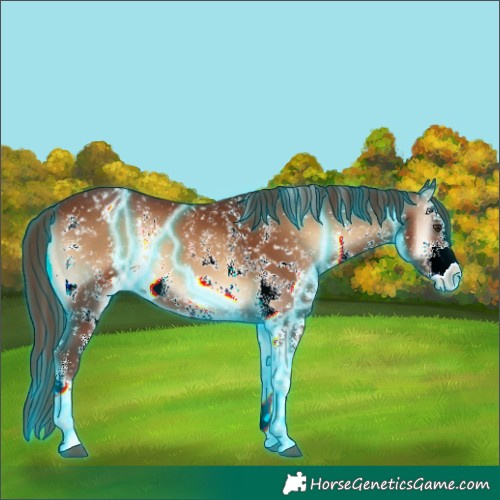 Horse Color:Thunderstruck Red Onyx Sabino Appaloosa 